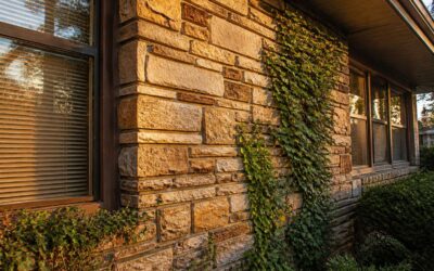 80s stone cladding revival, bold textures for modern facades.
